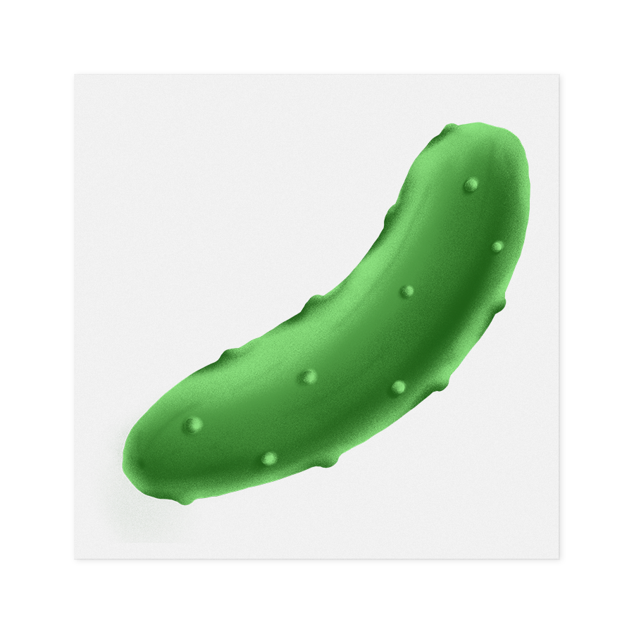 Pickle
