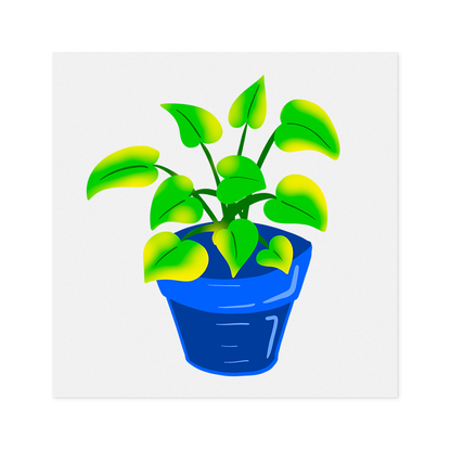 Blue Potted Pothos