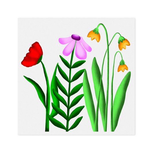 Wildflowers